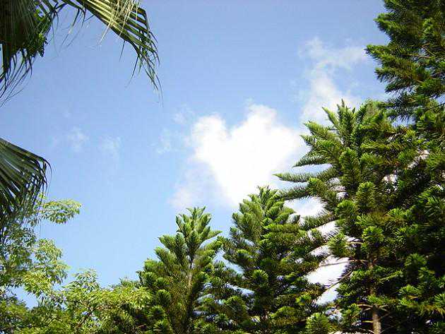 邢台内丘今日天气如何？冬天保健养生攻略，很多人不知道