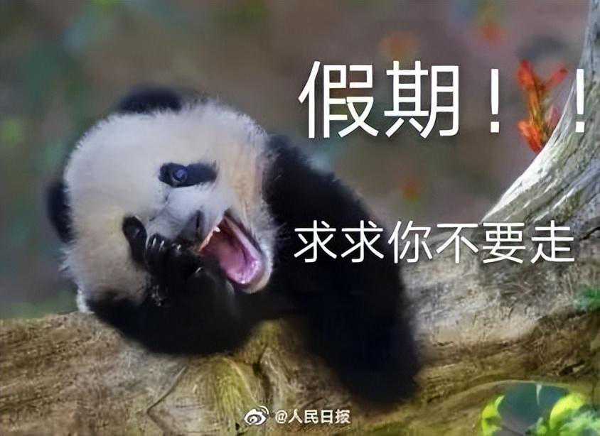 29℃→20℃→25℃！海淀明天有雨，后天阵风6、7级