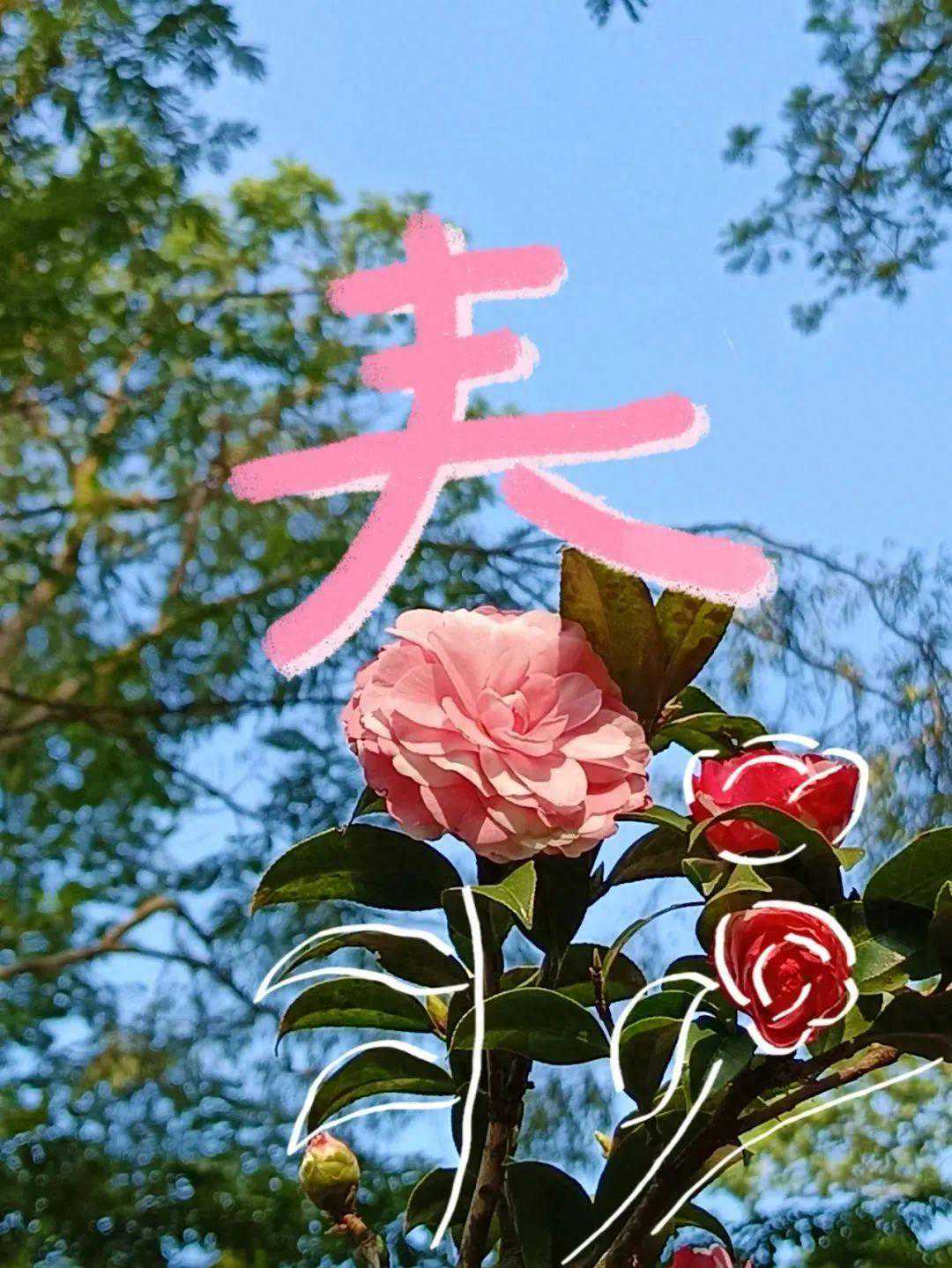 回南天又来了……中山最新天气情况→