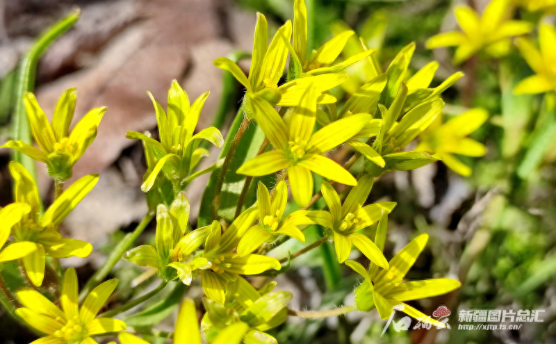 @乌鲁木齐小伙伴 今天热吗？未来几天更热，最高23℃！