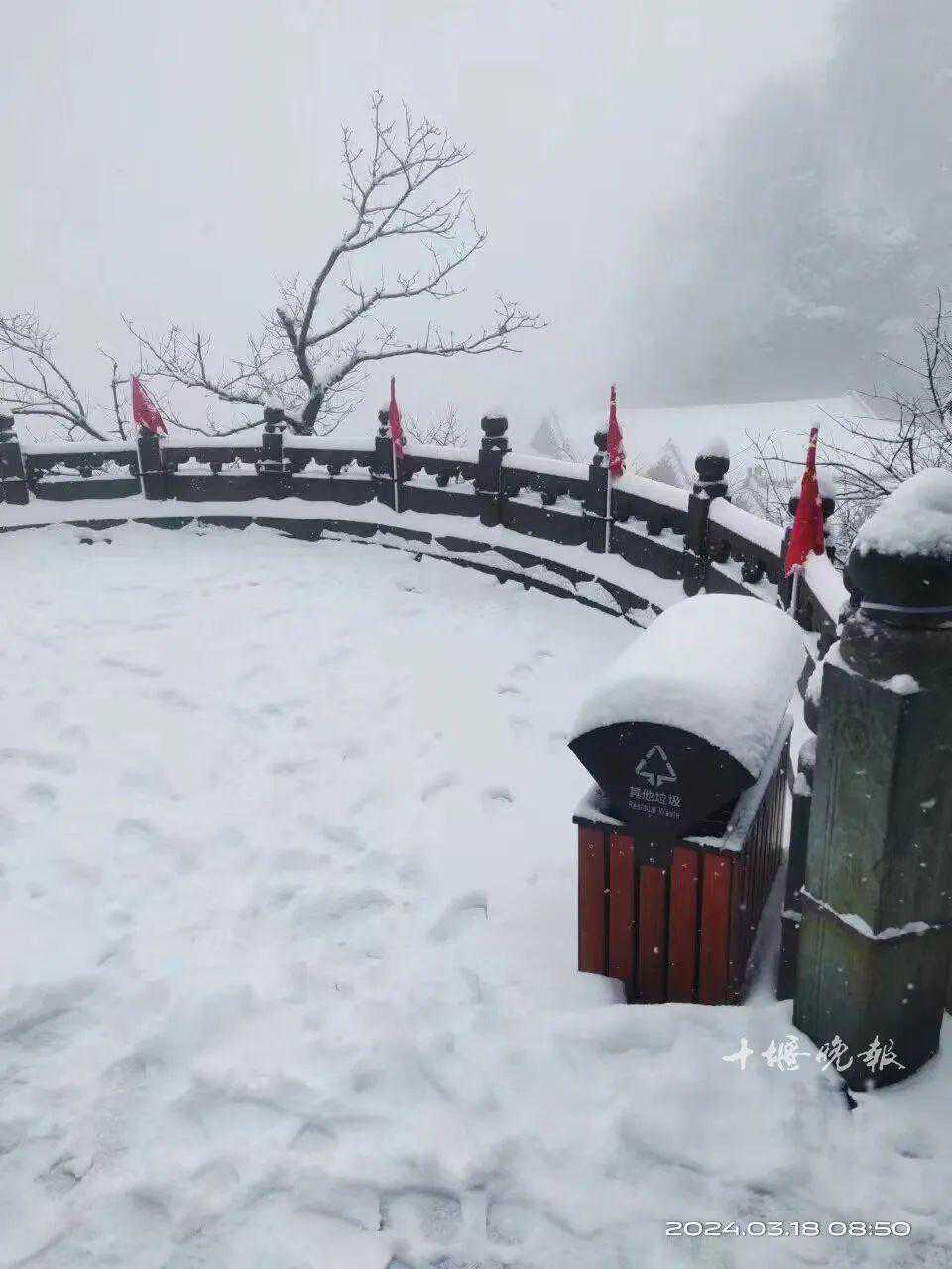 刚刚，十堰多地降雪！接下来的天气……