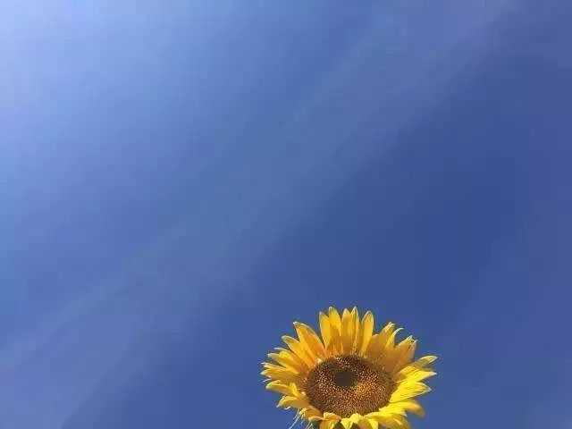 暖和！最高15℃！义乌本周天气从头晴到尾不过或有辐射雾