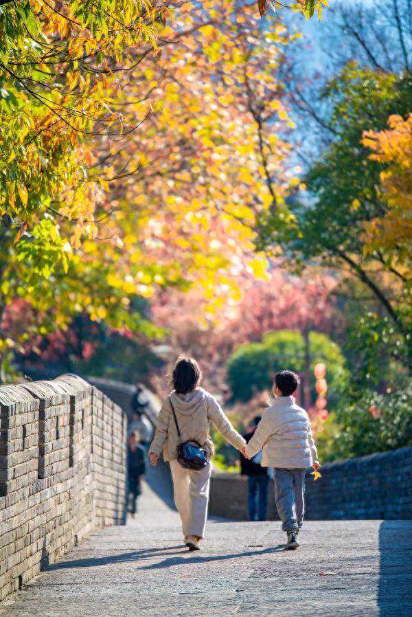 台州开始回温模式，即将飙到18.9℃！还有4波冷空气……