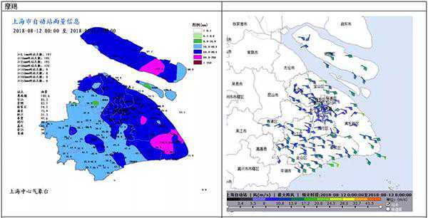 今夏“魔都”最“招风”？来看影响上海的四个台风有哪些不同