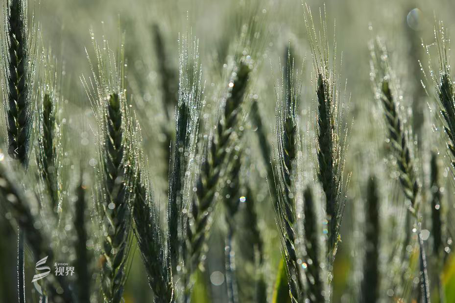 双流气温直冲29℃！还有“变”