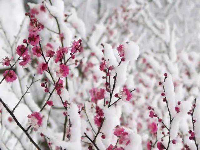 冷҈ 冷҈ 冷҈！增城录得最低气温0.1℃，何时回暖？