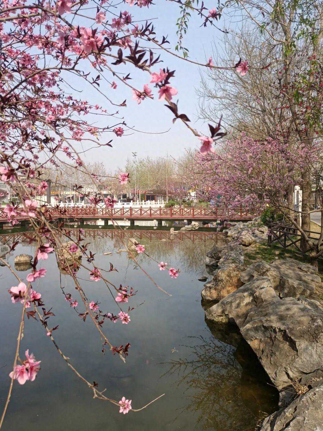 阵雨或雷阵雨！阵风8级！未来三天，河北局地迎降水……
