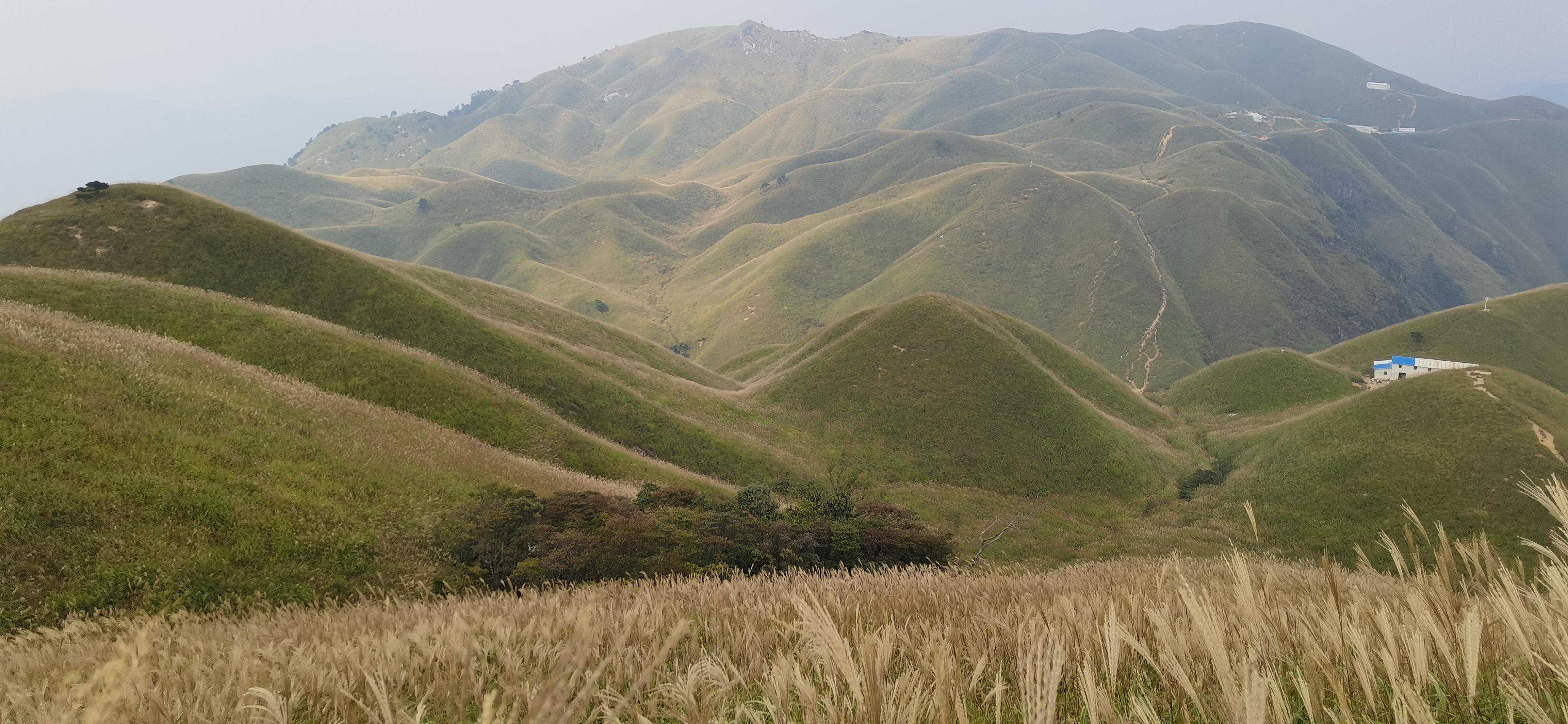 大雪！局地暴雪！双鸭山即将迎来两次降雪天气