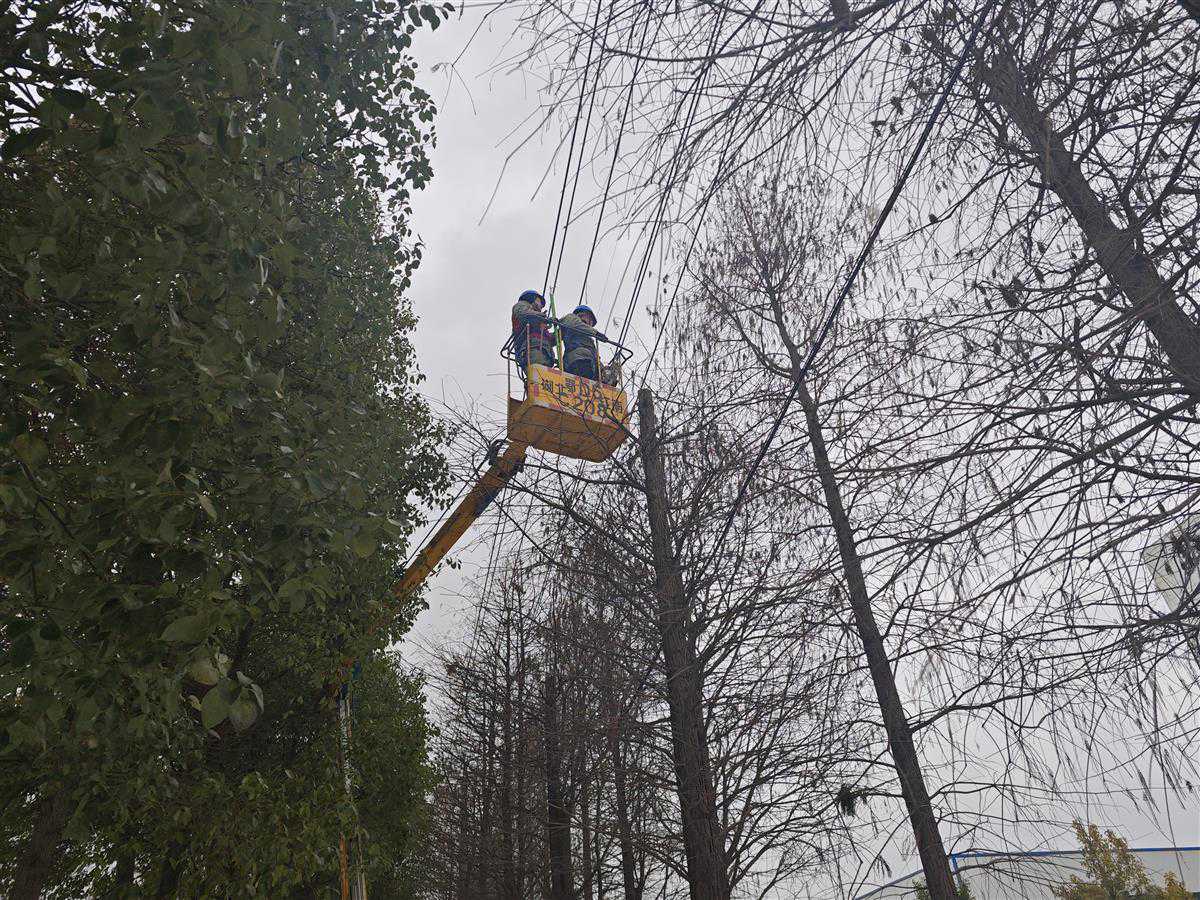 迎战雨雪冰冻天气，国网石首供电公司“鄂电红马甲”全力保障电力供应