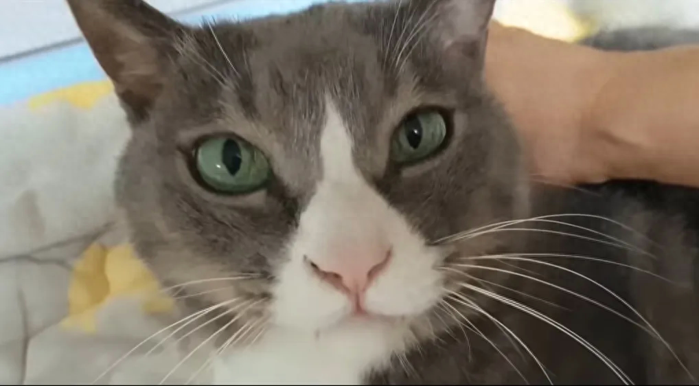 妈妈去世后，她抱着尸体睡了15天