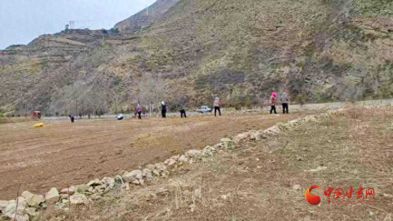 漳县：万物“耕”新 莫负好春光