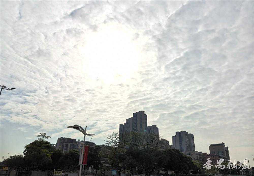 晴、雨、冷空气？番禺及周边地区2024年春运天气“剧透”来了