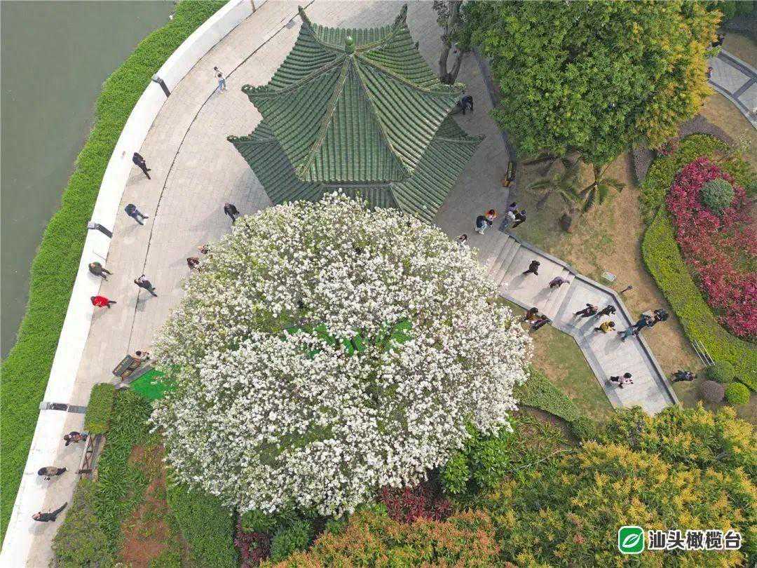 回南和降温的拉扯还没结束？新冷空气要来了！日均气温下降4～5℃