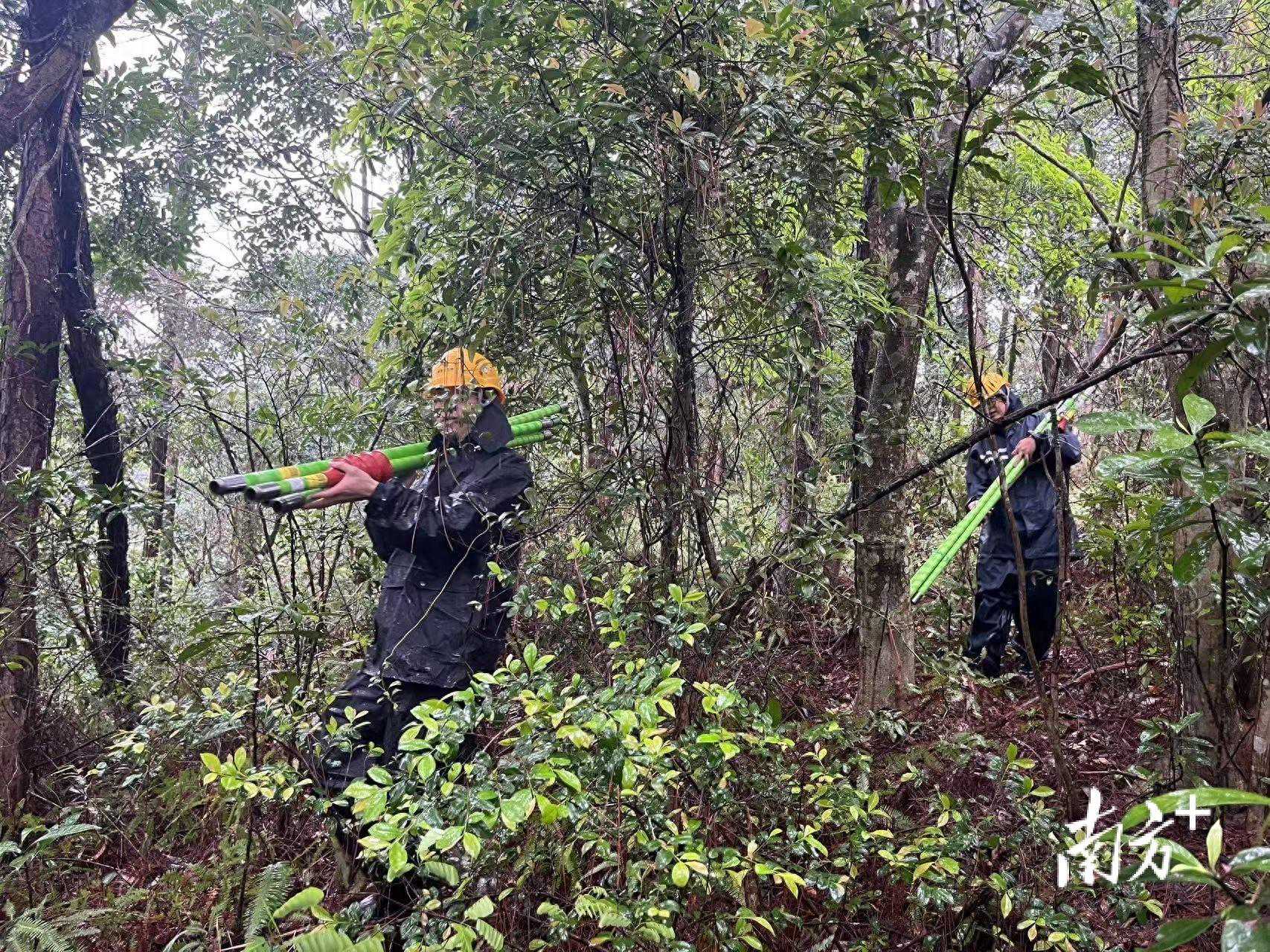 汕尾陆河供电局：全力应对雷雨天气，迅速抢修保供电
