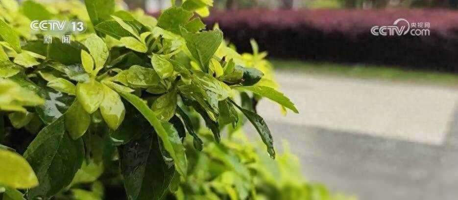 清明假期服务台|北方天气晴好江南大部气温转为偏低