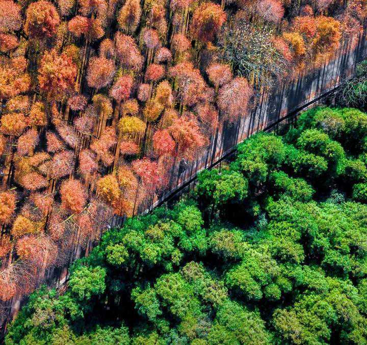 天气预报！永城12月3日—12月8日期间天气预报