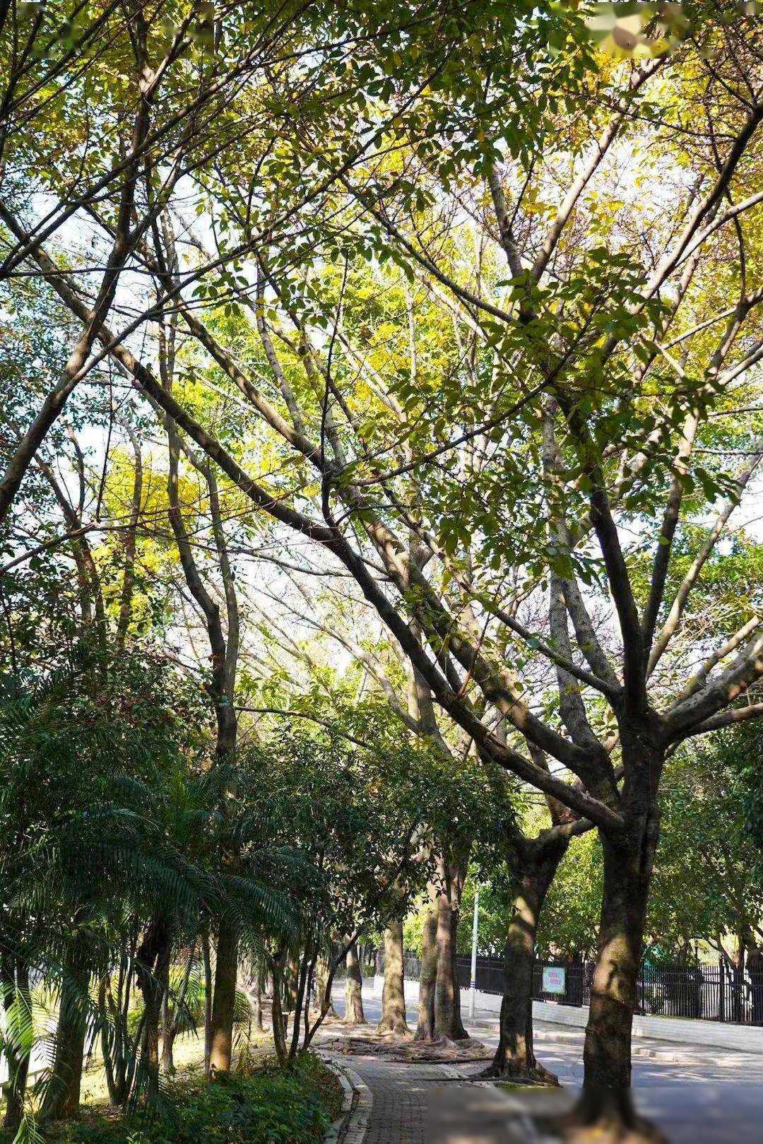 长乐天气又双叒要变……