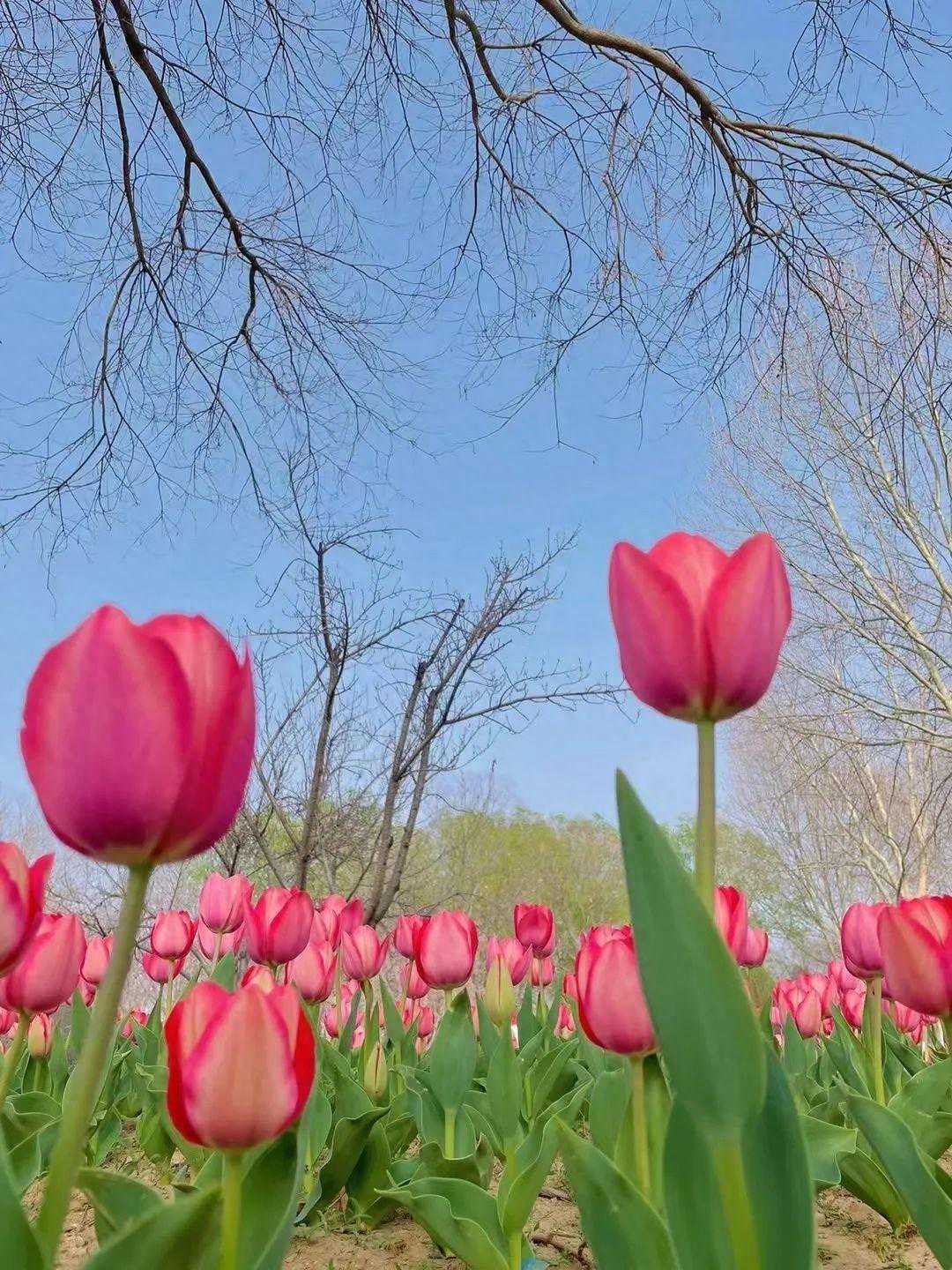 冷空气＋降雨！济宁本周天气......