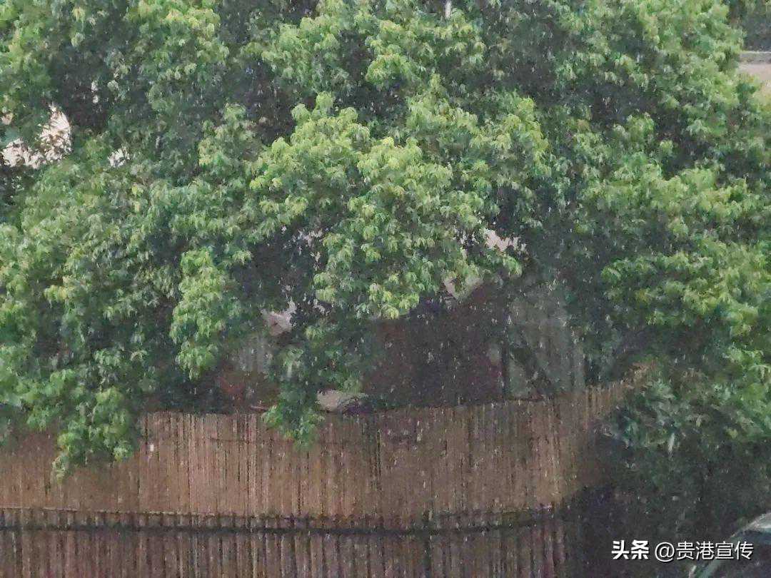 雨҈ 出没！贵港未来几天的天气是
