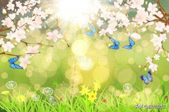 冷空气来了！滕州最新天气情况…