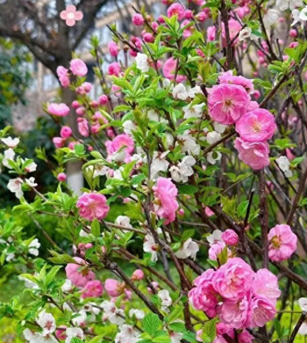 断崖式降温！有雨！淄博天气马上要变