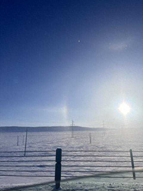 45.5°C！极寒天气下额尔古纳现日晕奇观