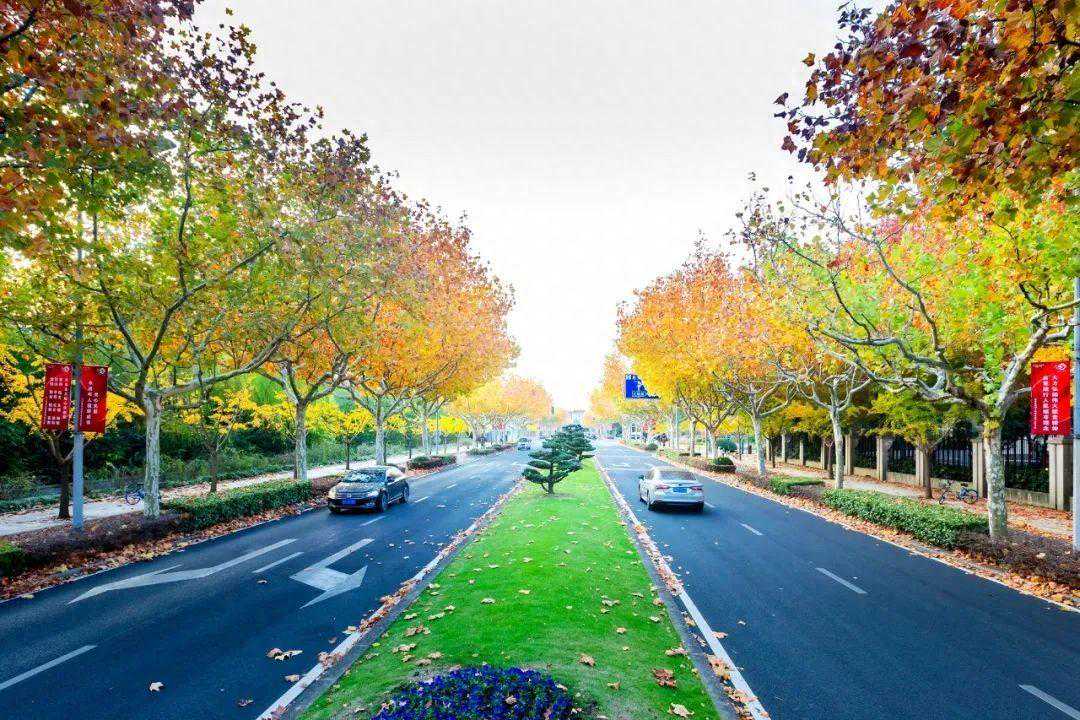 明天更冷！最低气温仅3℃！松江接下来的天气→