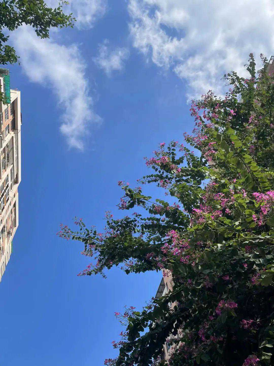 今天，南宁最高温将达36℃！未来5天的天气预报→