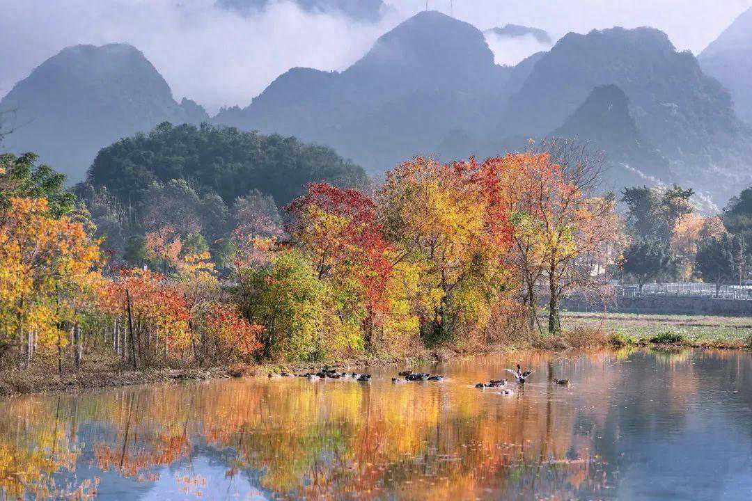 本月3次冷空气+5次降水，清远天气最新剧透→