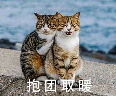 16℃，永康天气回暖有消息了！新一轮冷空气已安排