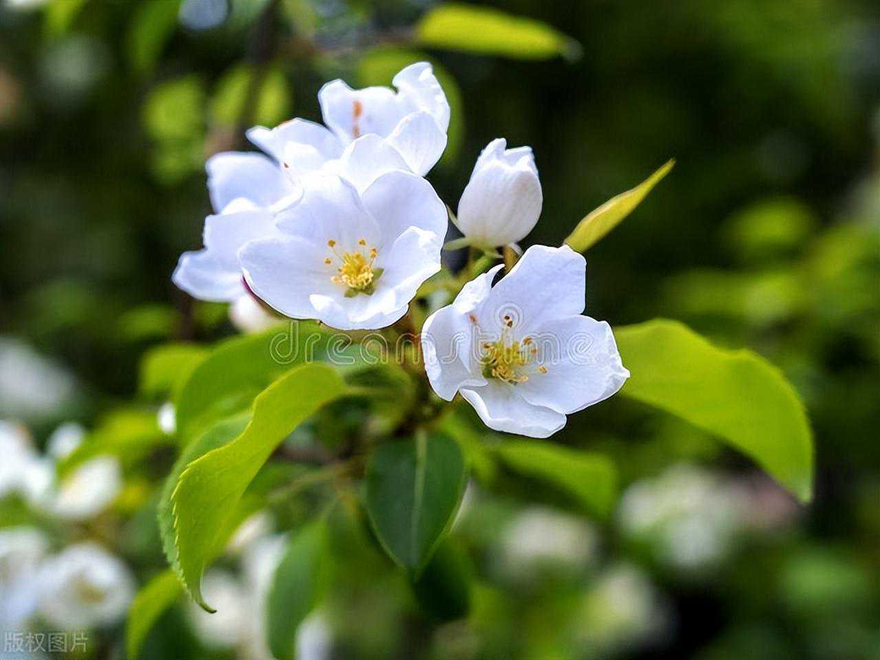 暴雨、大雨来袭，连下4天，主要分布下列地区，3~4日天气预报