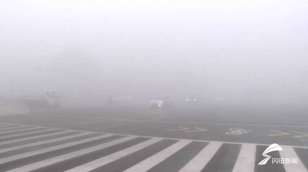泗水能见度只有100米！山东多地出现大雾天气 6地现强浓雾