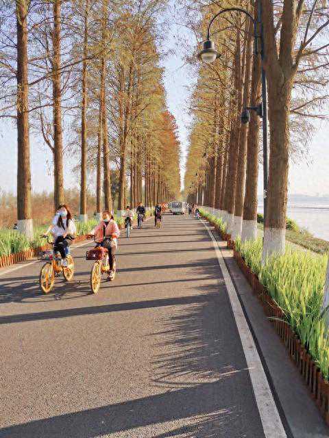 湖北天气预报：周末武汉最高22度，高山地区可能迎来雨夹雪或雪