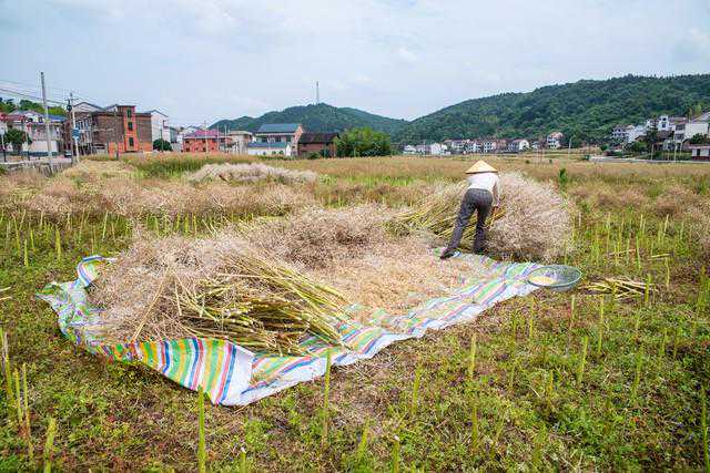 独家！黔西市未来一周天气预报揭晓：小雨扑面而来，温度明显下降