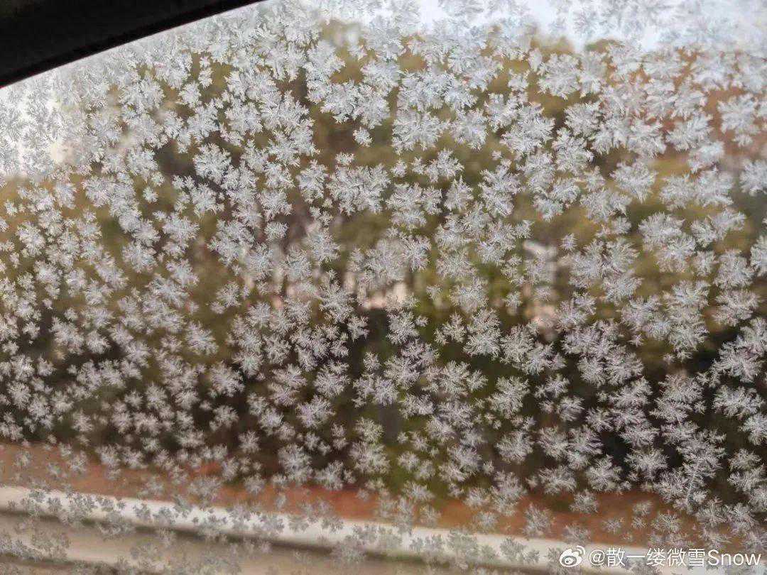 刚刚更新！闵行最低-6.4℃！寒冷依旧，但有好消息……