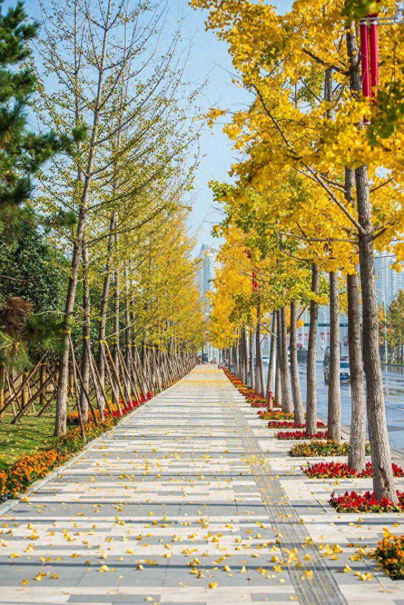 降温在即！最高气温将降至8℃左右→