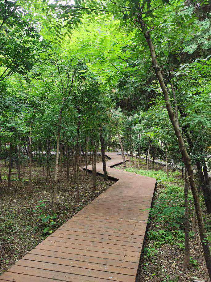 距石家庄仅仅80公里路程的娘子关景色秀美