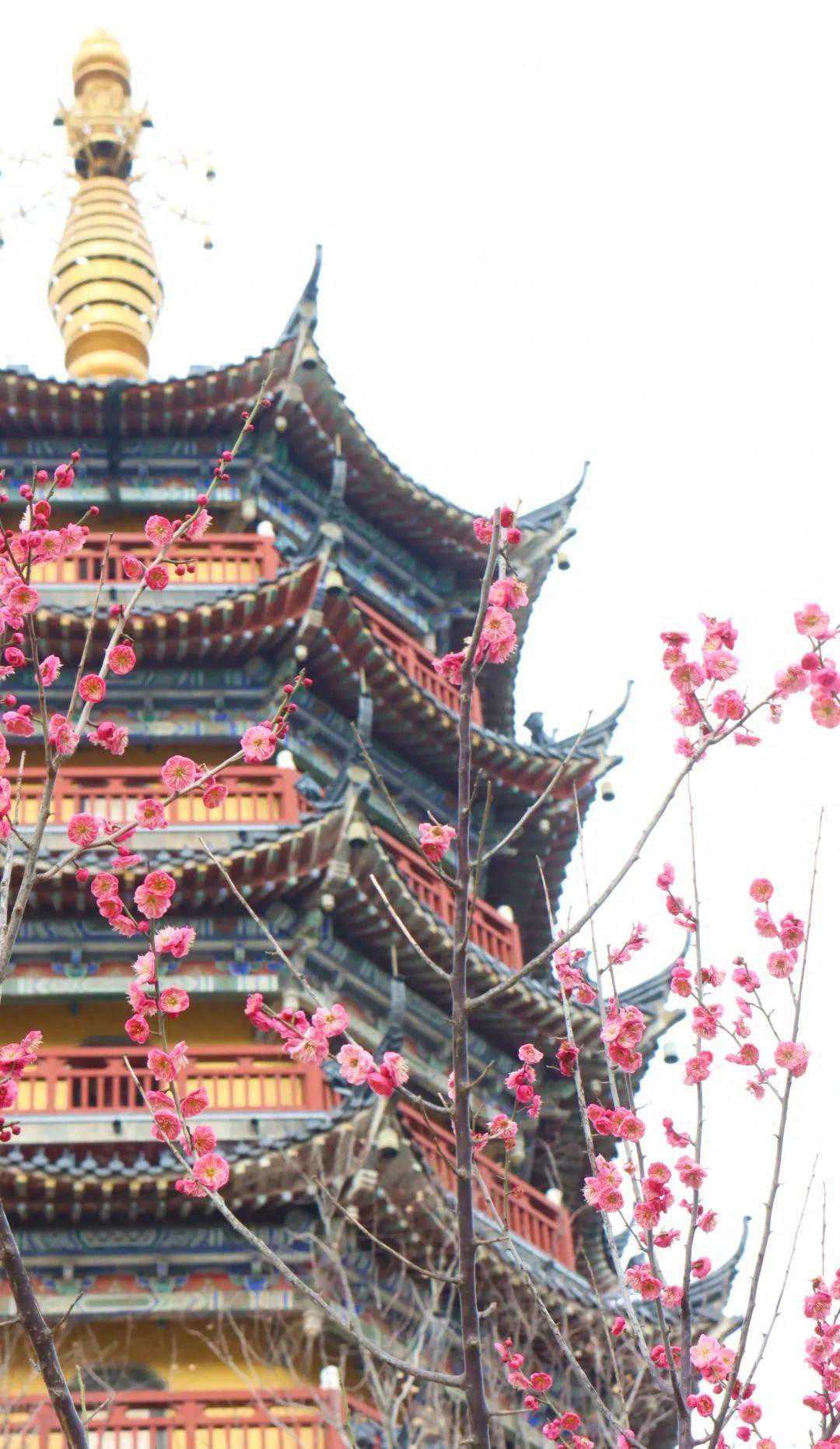 最高气温将升至23℃，但……