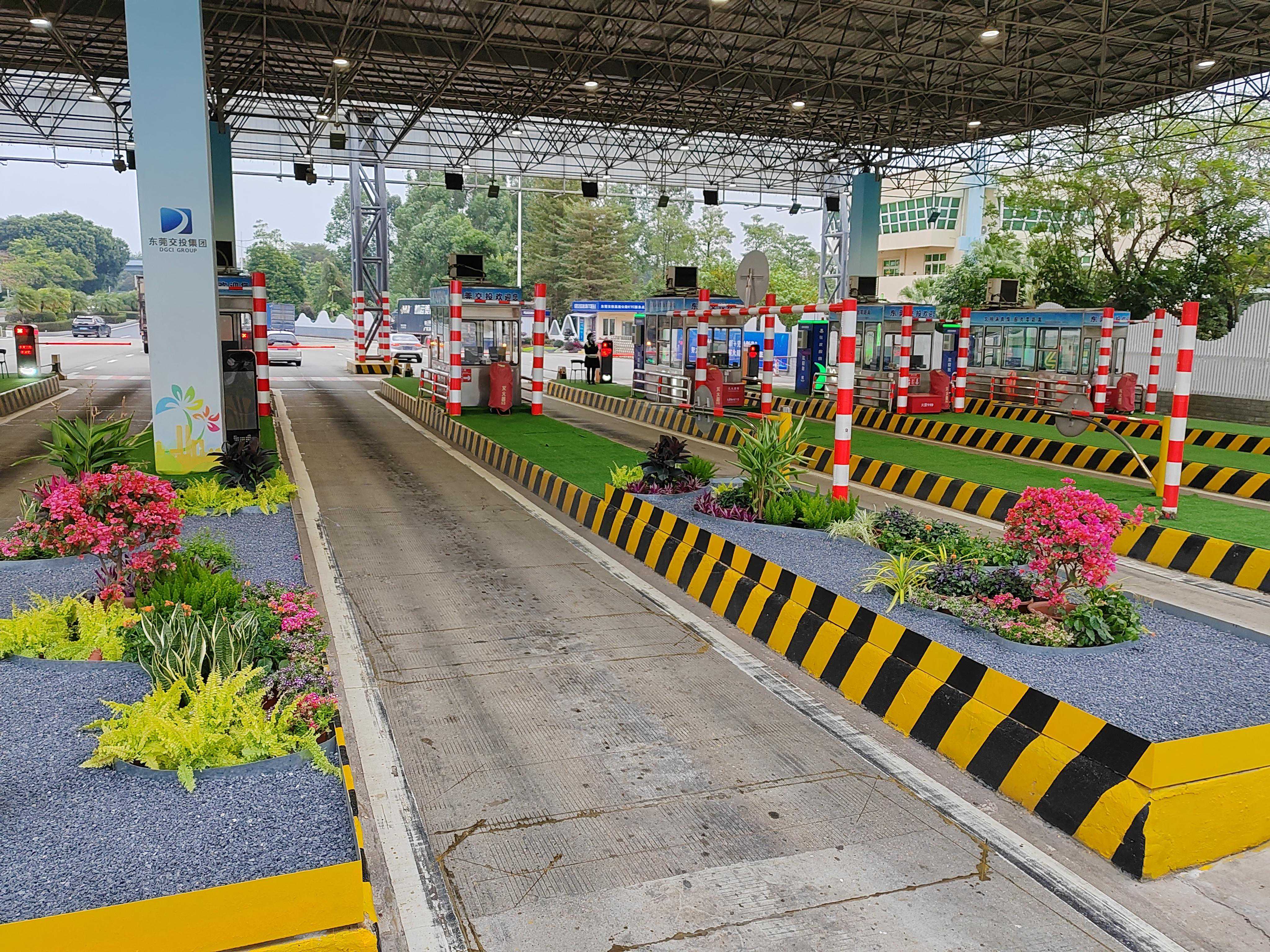 增设小景、升级花架！“绿美高速”串起莞邑靓丽美景