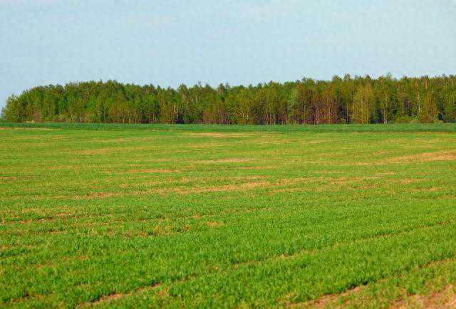 未来三天南京气温将逐步下降，最高气温只有20℃左右