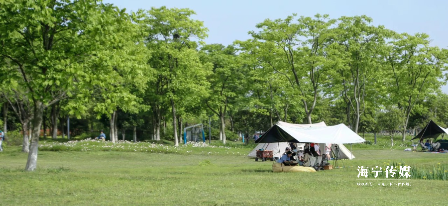 终于要回归！很多海宁人都在等！