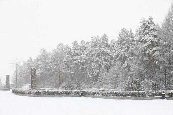 雪深超10厘米！黑龙江漠河迎入秋以来最大降雪