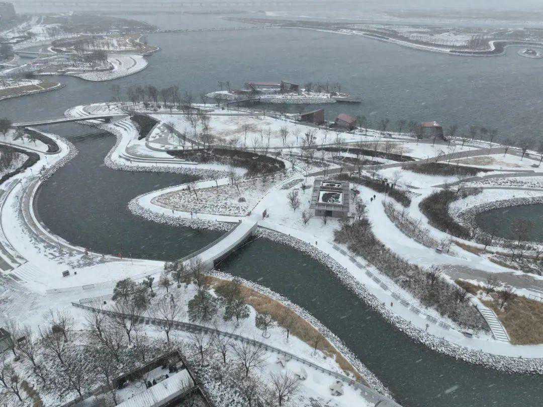 滨城将有小雪！大风降温来袭~