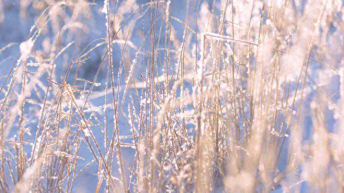 2个台风即将生成！浙江跌向4℃，大风霜冻全要来