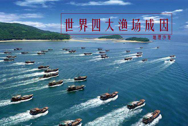 为什么温带大陆架海区，是海洋渔业资源最丰富的海域？