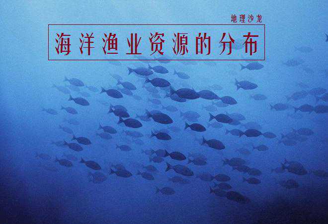 为什么海洋渔业资源不是均匀分布，而是多分布在温带大陆架海区？
