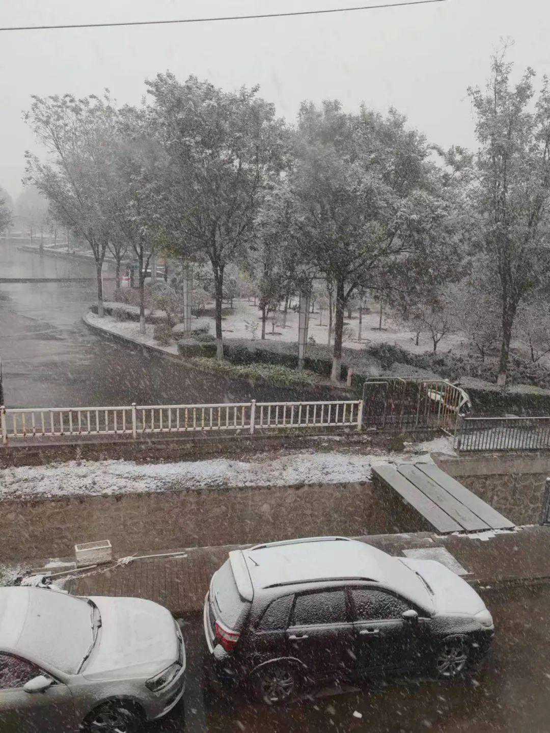 2023年的第一场雪来了！济源最低气温3℃