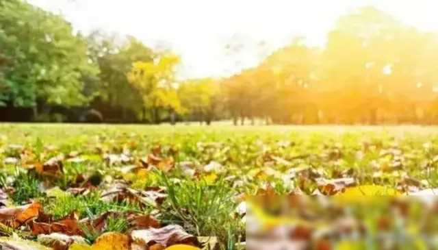 “最怕清明是晴天”，今日清明，清明晴有啥预兆？