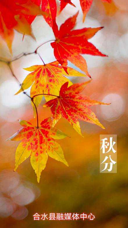 二十四节气之秋分