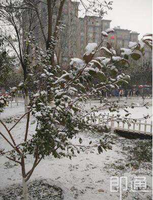 31.4℃！沽源今日最低温破历史极值